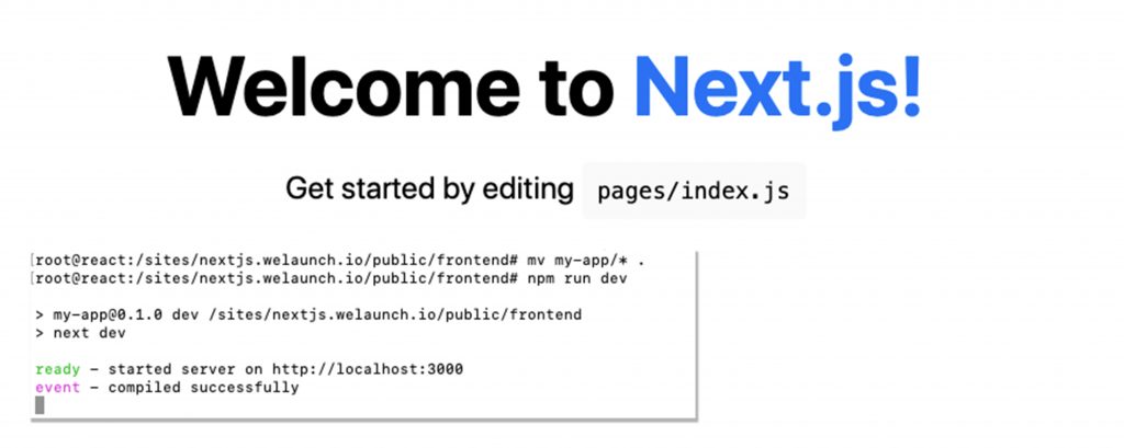 nextjs server