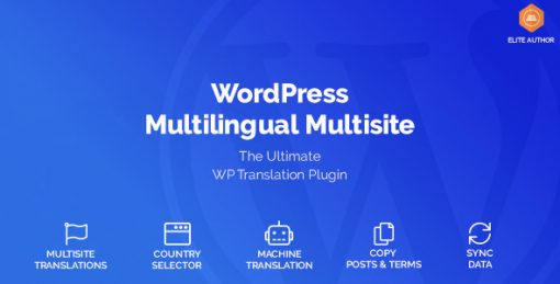 Wordpress Multilingual Multisite