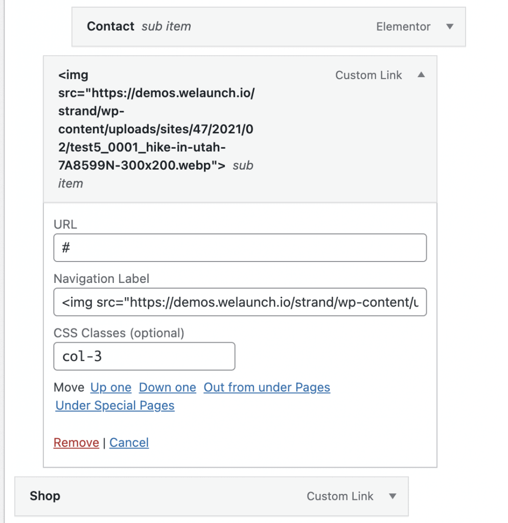 how to add an image to a menu in wp backend