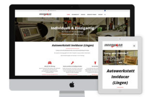 Website of Inviducar