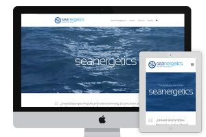 Seanergetics website