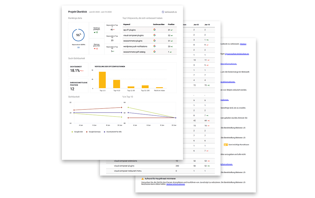 SEO monitoring