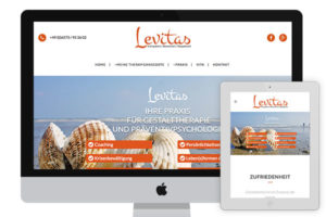 Webdesign Levitas