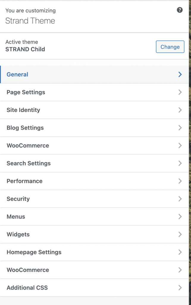 customizer theme settings